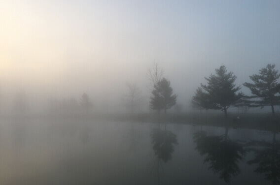 lake and fog